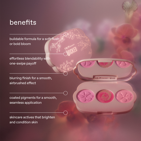 r.e.m. beauty x Wicked: For Good couldn't be lovelier blush set