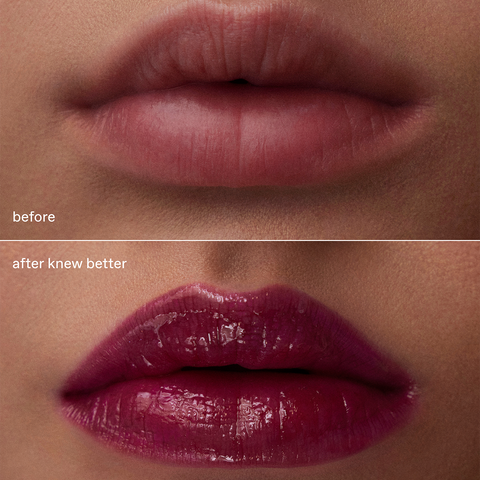 dangerous woman glossy balm duo – rem beauty