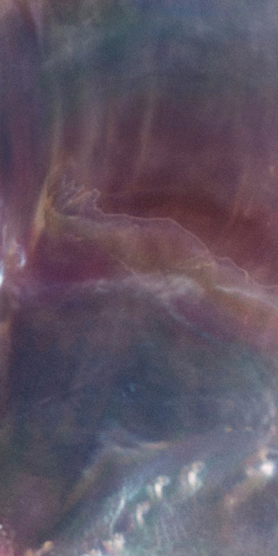 Alt text not provided for this image