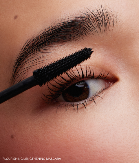 ari's signature eye trio